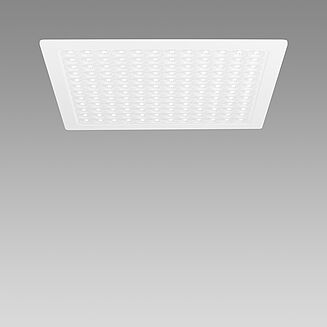 PROH_7665_FINDER.JPG