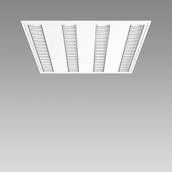 PROH_9088_FINDER.JPG