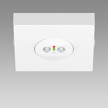 PROH_8234_FINDER.JPG