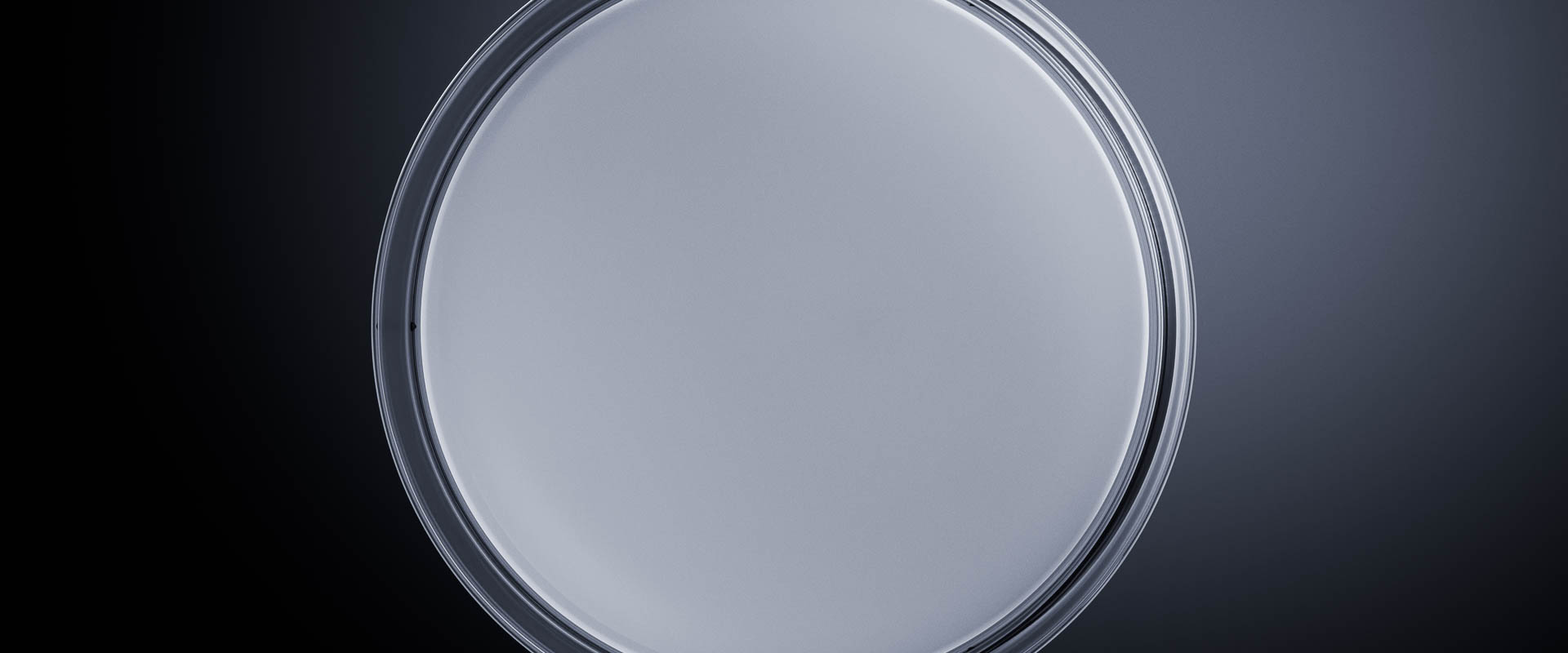 LUNIGO_-_CW_240_-_MO5_-_01_PG.JPG