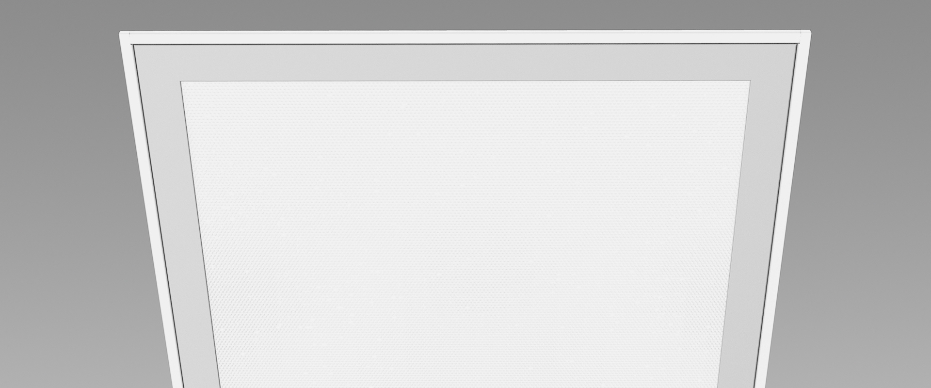 PROH_8300_PG.JPG